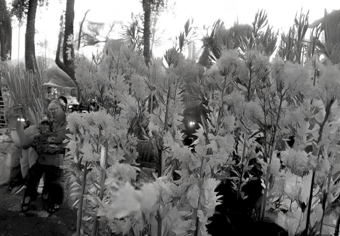 广东队VS福建队巅峰对决：精彩赛事回顾与深度分析(图3)