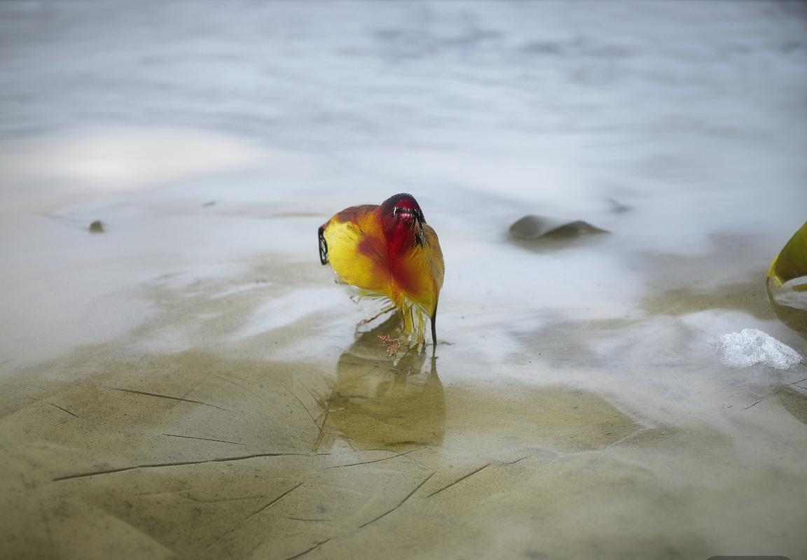 哥伦比亚vs埃及：足球对决精彩回顾与战术分析